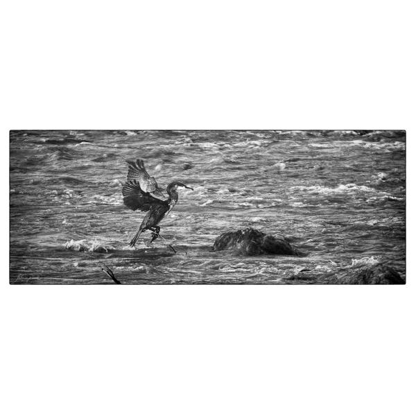 PHOTO84, CLUB, 84 , LUBERON